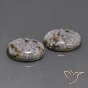 26.88 ct natürliche Mehrfarbig Jaspis-Edelsteine, Oval, Lichtundurchlässig