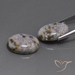 26.88 ct natürliche Mehrfarbig Jaspis-Edelsteine, Oval, Lichtundurchlässig