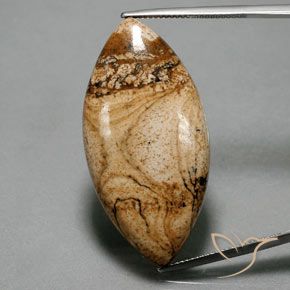 41.94ct Natürlicher Mehrfarbig Jaspis, Marquise, Lichtundurchlässig