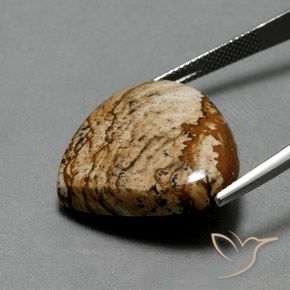 9,17 ctw natürlicher Mehrfarbig Jaspis, Birnenform, Lichtundurchlässig