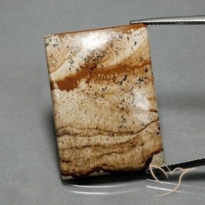 33.84ct Natürlicher Mehrfarbig Jaspis, Baguette, Lichtundurchlässig