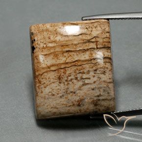 32.30ct Natürlicher Mehrfarbig Jaspis, Baguette, Lichtundurchlässig