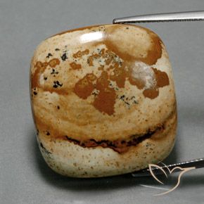 40.24ct Natürlicher Mehrfarbig Jaspis, Kissen, Lichtundurchlässig