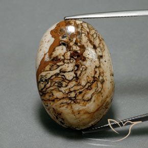 37.73ct Natürlicher Mehrfarbig Jaspis, Oval, Lichtundurchlässig