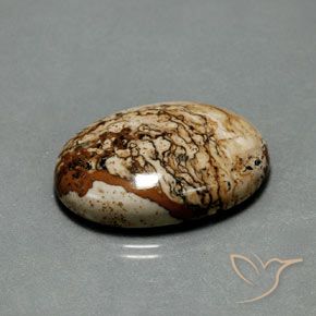 9,17 ctw natürlicher Mehrfarbig Jaspis, Oval, Lichtundurchlässig