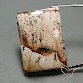 55.92ct Natürlicher Mehrfarbig Jaspis, Baguette, Lichtundurchlässig