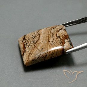 9,17 ctw natürlicher Mehrfarbig Jaspis, Baguette, Lichtundurchlässig