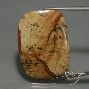 27.74ct Natürlicher Mehrfarbig Jaspis, Kissen, Lichtundurchlässig