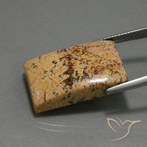 9,17 ctw natürlicher Mehrfarbig Jaspis, Baguette, Lichtundurchlässig