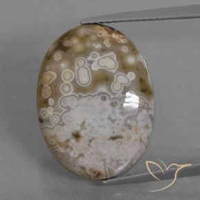 12.72ct Natürlicher Mehrfarbig Jaspis, Oval, Lichtundurchlässig