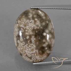 13.00ct Natürlicher Mehrfarbig Jaspis, Oval, Lichtundurchlässig