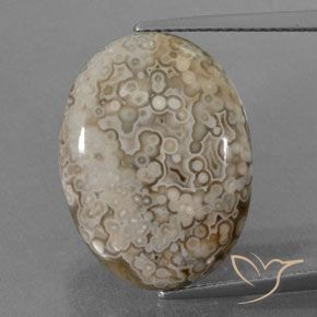 12.43ct Natürlicher Mehrfarbig Jaspis, Oval, Lichtundurchlässig