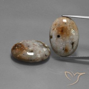 26.60ctw Natürlicher Mehrfarbig Jaspis, Oval, Lichtundurchlässig