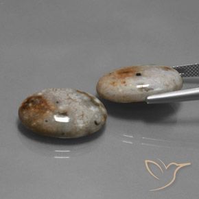 26.60 ct natürliche Mehrfarbig Jaspis-Edelsteine, Oval, Lichtundurchlässig