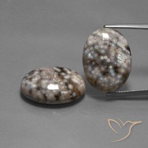 26.12ctw Natürlicher Mehrfarbig Jaspis, Oval, Lichtundurchlässig