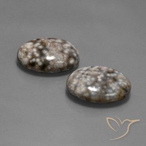 26.12 ct natürliche Mehrfarbig Jaspis-Edelsteine, Oval, Lichtundurchlässig