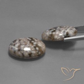 26.12 ct natürliche Mehrfarbig Jaspis-Edelsteine, Oval, Lichtundurchlässig