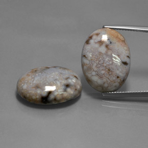 28,35 ct natürliche mehrfarbiger Jaspis-Edelsteine, Oval Schliff, Lichtundurchlässig
