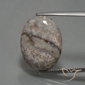 12.39ct Natürlicher Mehrfarbig Jaspis, Oval, Lichtundurchlässig