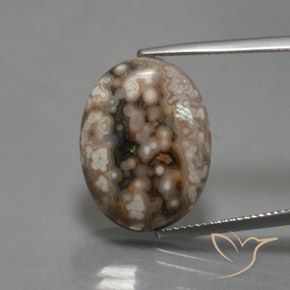 12.87ct Natürlicher Mehrfarbig Jaspis, Oval, Lichtundurchlässig, Photo A