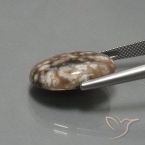 9,17 ctw natürlicher Mehrfarbig Jaspis, Oval, Lichtundurchlässig
