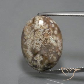 14.73ct Natürlicher Mehrfarbig Jaspis, Oval, Lichtundurchlässig