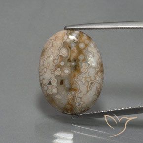 11.83ct Natürlicher Mehrfarbig Jaspis, Oval, Lichtundurchlässig