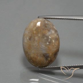 15.30ct Natürlicher Mehrfarbig Jaspis, Oval, Lichtundurchlässig
