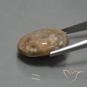 9,17 ctw natürlicher Mehrfarbig Jaspis, Oval, Lichtundurchlässig
