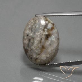 14.48ct Natürlicher Mehrfarbig Jaspis, Oval, Lichtundurchlässig