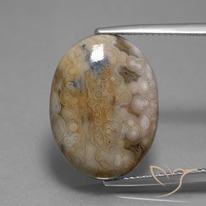 13.80ct Natürlicher Mehrfarbig Jaspis, Oval, Lichtundurchlässig