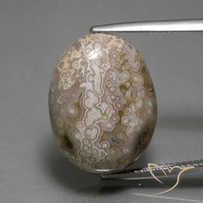 15.26ct Natürlicher Mehrfarbig Jaspis, Oval, Lichtundurchlässig