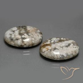 22.46 ct natürliche Mehrfarbig Jaspis-Edelsteine, Oval, Lichtundurchlässig
