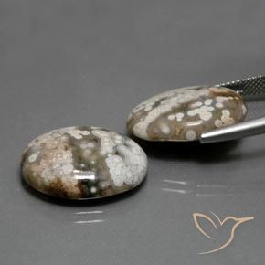 22.46 ct natürliche Mehrfarbig Jaspis-Edelsteine, Oval, Lichtundurchlässig