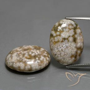 25.62ctw Natürlicher Mehrfarbig Jaspis, Oval, Lichtundurchlässig