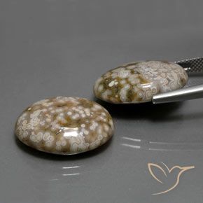 25.62 ct natürliche Mehrfarbig Jaspis-Edelsteine, Oval, Lichtundurchlässig