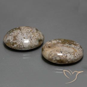 25.60 ct natürliche Mehrfarbig Jaspis-Edelsteine, Oval, Lichtundurchlässig