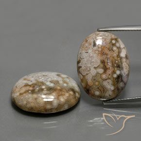 26.33ctw Natürlicher Mehrfarbig Jaspis, Oval, Lichtundurchlässig