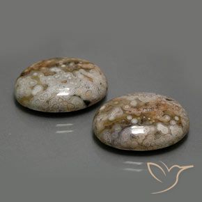 26.33 ct natürliche Mehrfarbig Jaspis-Edelsteine, Oval, Lichtundurchlässig