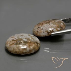 26.33 ct natürliche Mehrfarbig Jaspis-Edelsteine, Oval, Lichtundurchlässig
