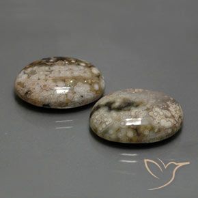 25.83 ct natürliche Mehrfarbig Jaspis-Edelsteine, Oval, Lichtundurchlässig