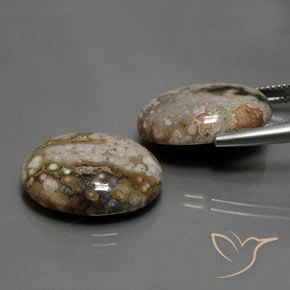 25.83 ct natürliche Mehrfarbig Jaspis-Edelsteine, Oval, Lichtundurchlässig