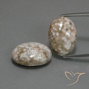 21.62ctw Natürlicher Mehrfarbig Jaspis, Oval, Lichtundurchlässig