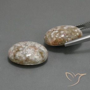 21.62 ct natürliche Mehrfarbig Jaspis-Edelsteine, Oval, Lichtundurchlässig