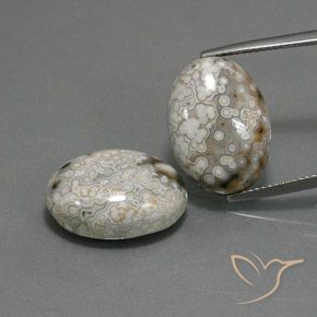 23.48ctw Natürlicher Mehrfarbig Jaspis, Oval, Lichtundurchlässig