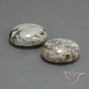 23.48 ct natürliche Mehrfarbig Jaspis-Edelsteine, Oval, Lichtundurchlässig