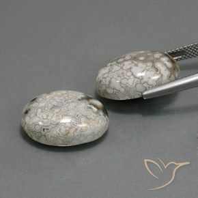 23.48 ct natürliche Mehrfarbig Jaspis-Edelsteine, Oval, Lichtundurchlässig