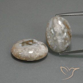 18.63ctw Natürlicher Mehrfarbig Jaspis, Oval, Lichtundurchlässig