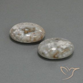 18.63 ct natürliche Mehrfarbig Jaspis-Edelsteine, Oval, Lichtundurchlässig