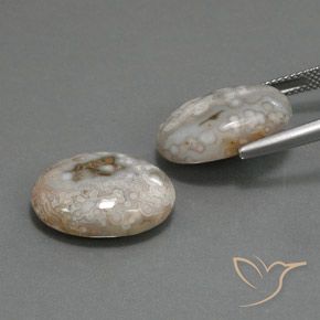 18.63 ct natürliche Mehrfarbig Jaspis-Edelsteine, Oval, Lichtundurchlässig